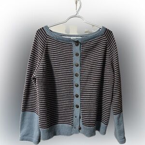 Striped Button-Up Sweater - Blue and Brown